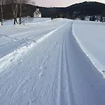 Zrzka