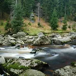 Zrzka 3*