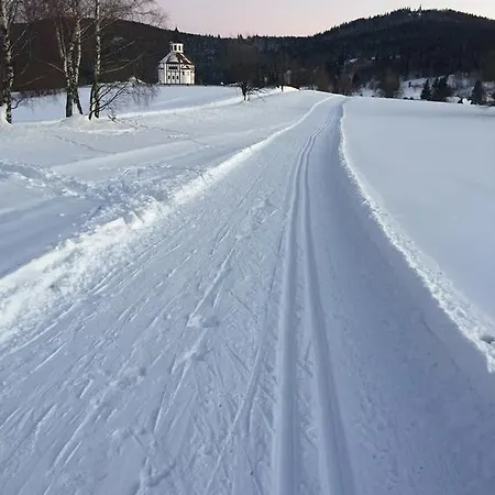 Zrzka