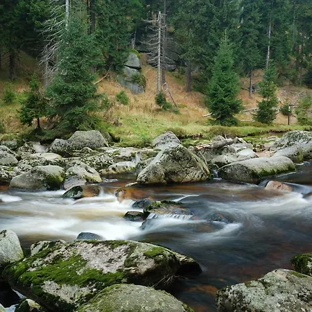 Zrzka 3*