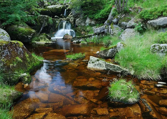 Zrzka 3*