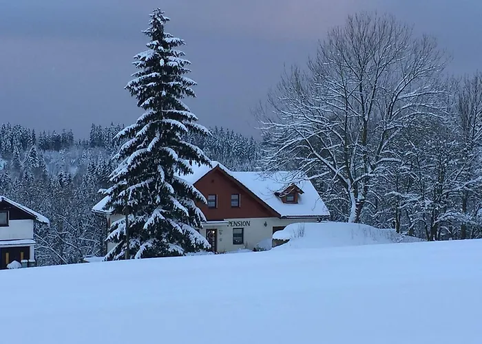 Zrzka 3*