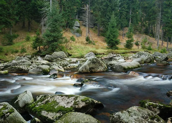 Zrzka 3*